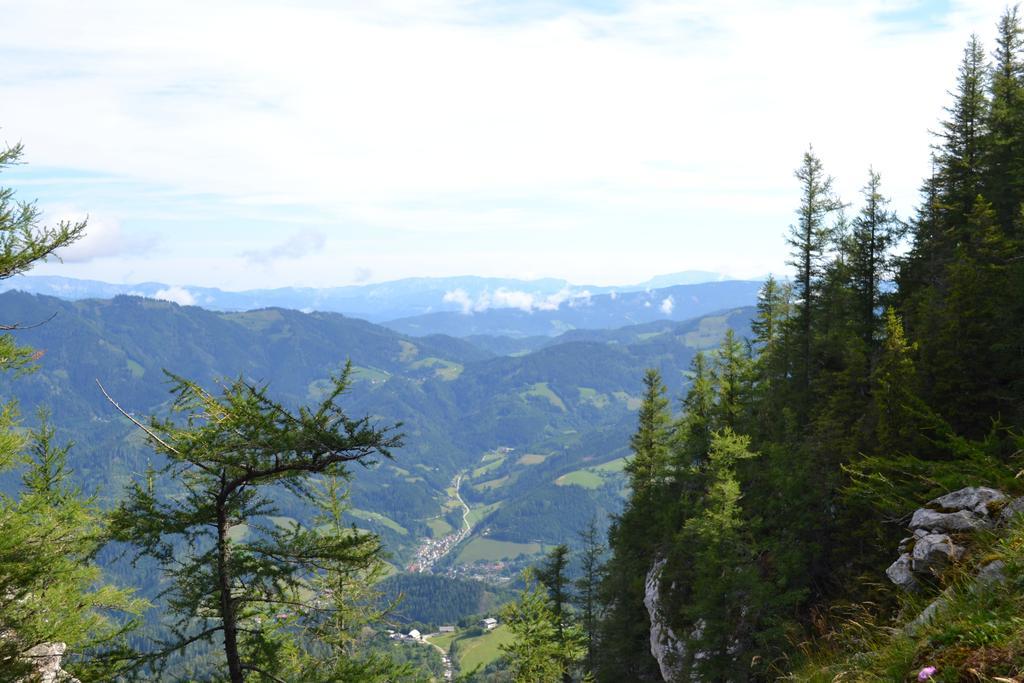 Pension Schweiger Gasen 外观 照片